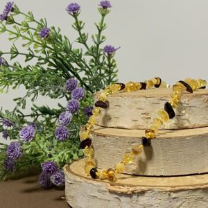 Collar chips de Ámbar Niño